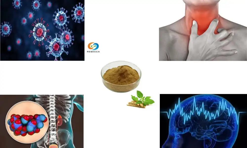 3 Reasons to Trust Ashwagandha Extract Supplements